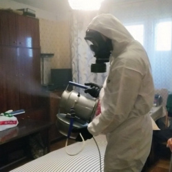 Дезинфекция от клопов в Лагани