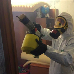 Уничтожение клопов в квартире. Лагань